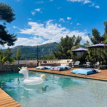 Villa Holistika : Bed And Breakfast / Pool / Air Conditioning/ Mont Faron Тулон Екстер'єр фото